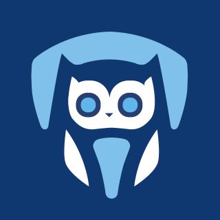 essayservice.com reviews