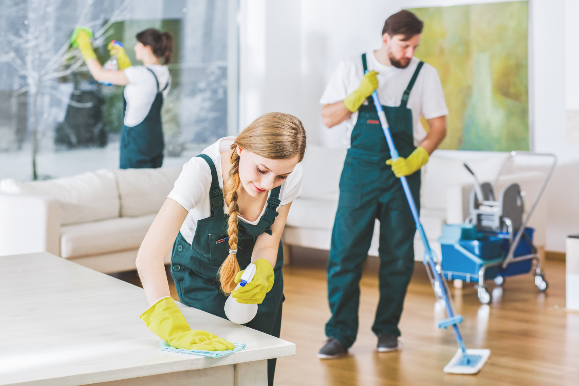 Princess Cleaning Services reviews