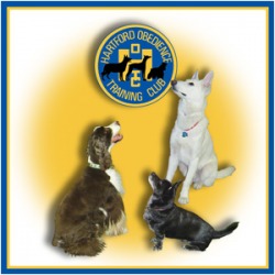 Hartford obedience training club reviews