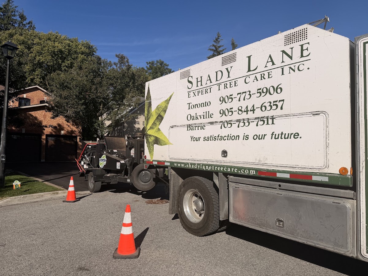 Shady Lane Expert Tree Care photo