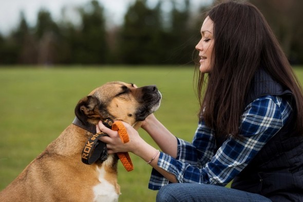 Pitter patter dog walking reviews