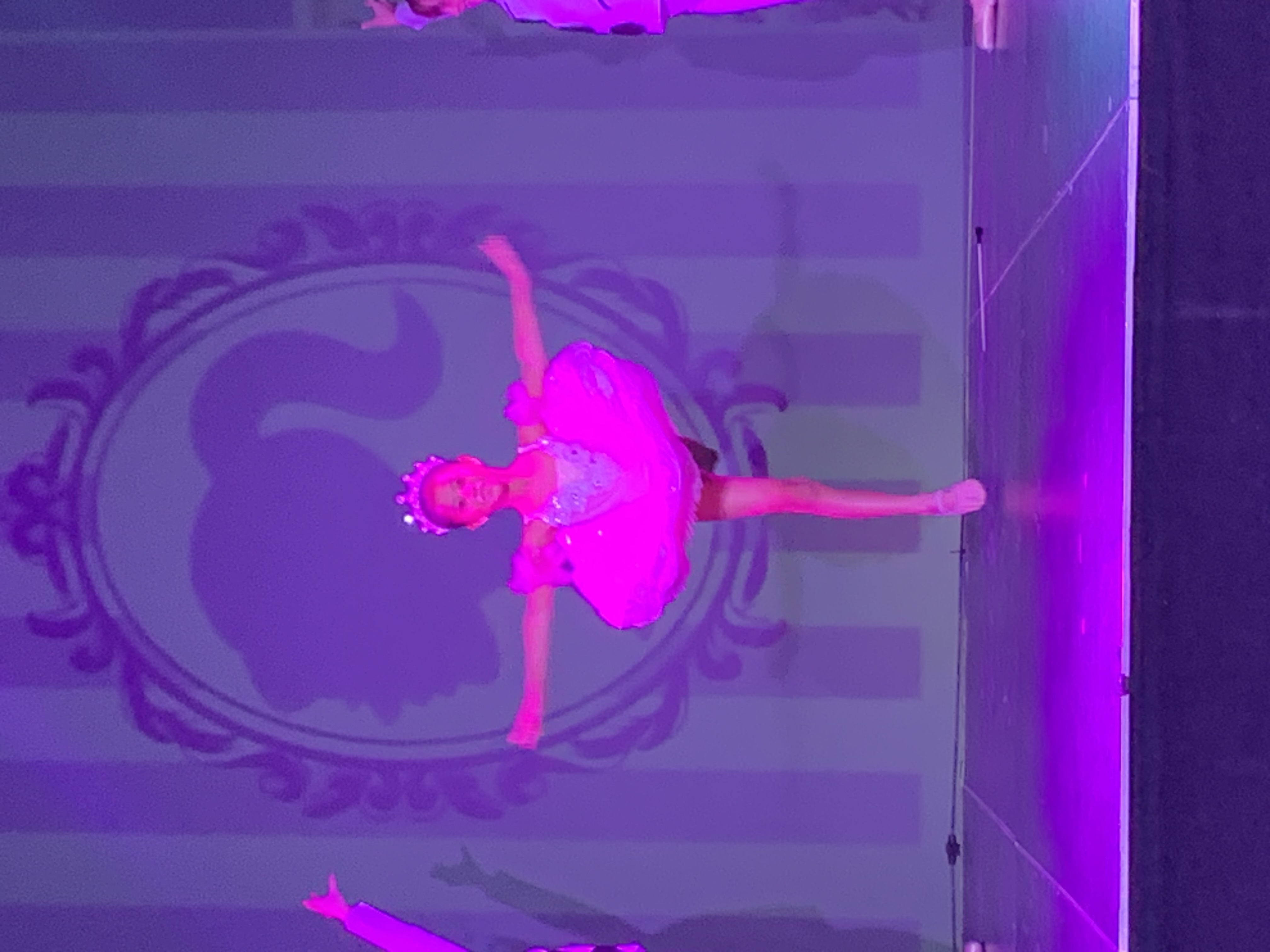 European Ballet and Piano School photo