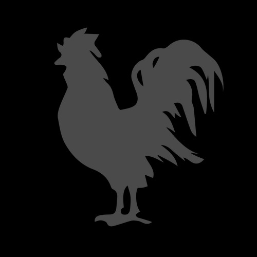 Rooster Coffee House reviews