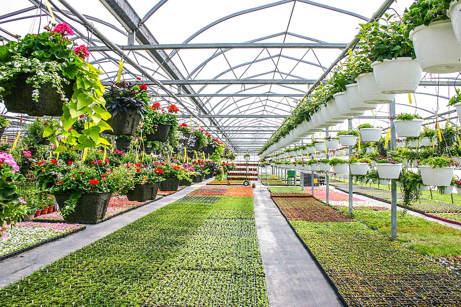 Wilson's Lifestyle Centre reviews