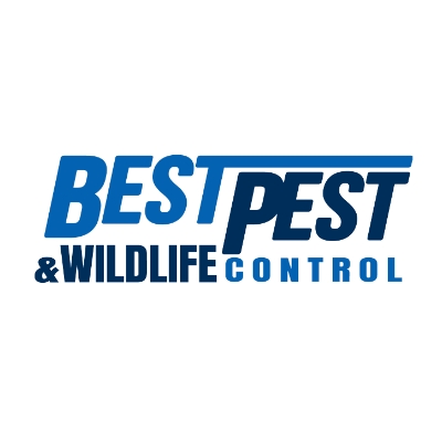 Best Pest & Wildlife Control photo