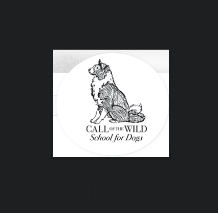 Call Of The Wild School For Dogs reviews