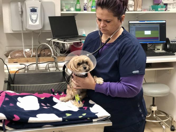 Erindale Animal Hospital reviews