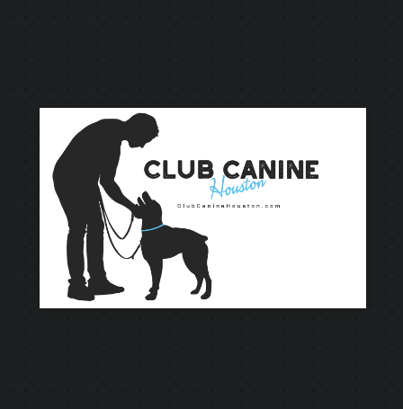 Club Canine reviews