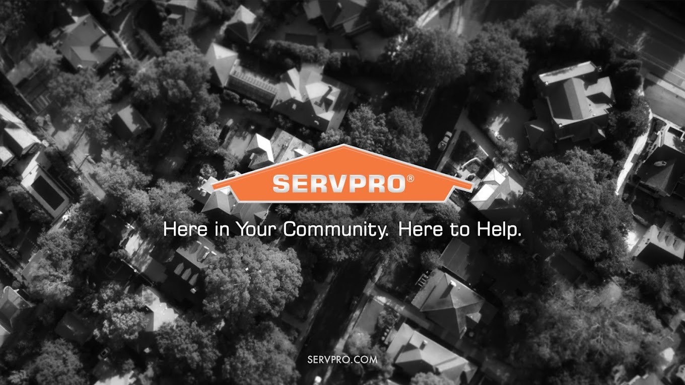 SERVPRO of Milpitas reviews