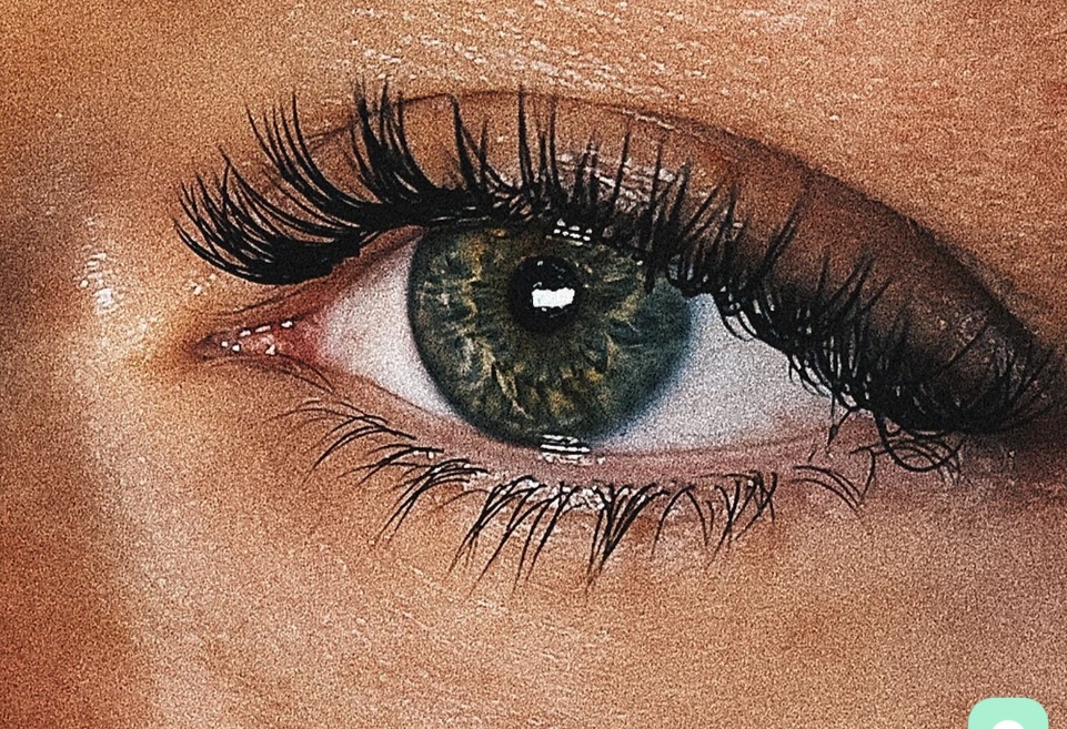 ⭐ 10 BEST Eyelash Extensions in Orlando 5 Star Rated Near You TrustAnalytica