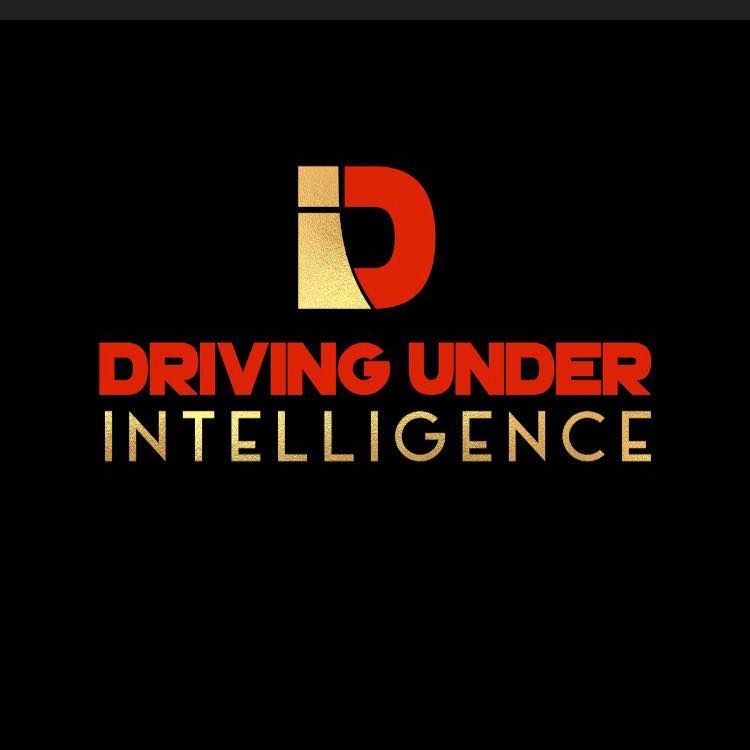 Driving Under Intelligence DUI & Defensive Driving School LLC reviews
