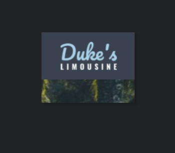 Duke's Limousine Inc. reviews
