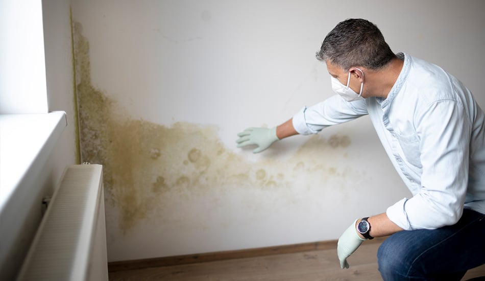 21st Century Home Inspection photo