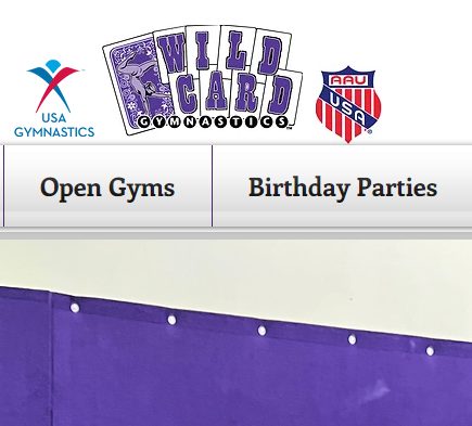 Wildcard Gymnastics reviews