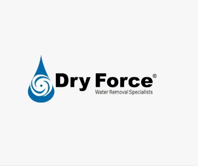 Dry Force Water Removal Specialists reviews