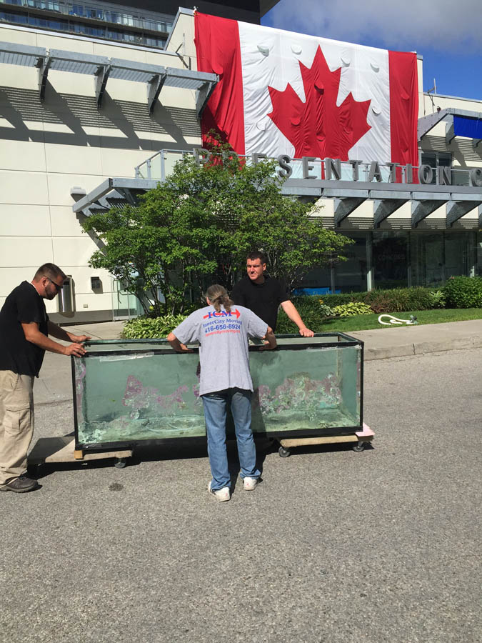 Inner City Moving & Storage Company|A Moving Company Toronto photo