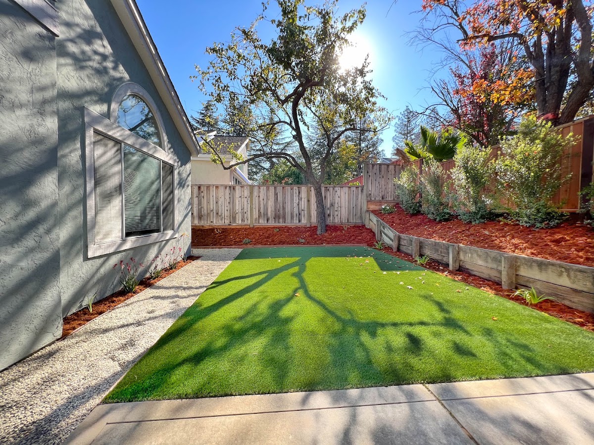 San Jose Tree Service & Landscaping photo