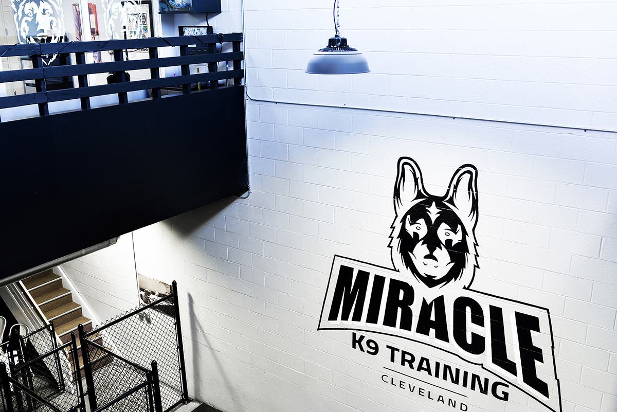 Miracle K9 Training reviews