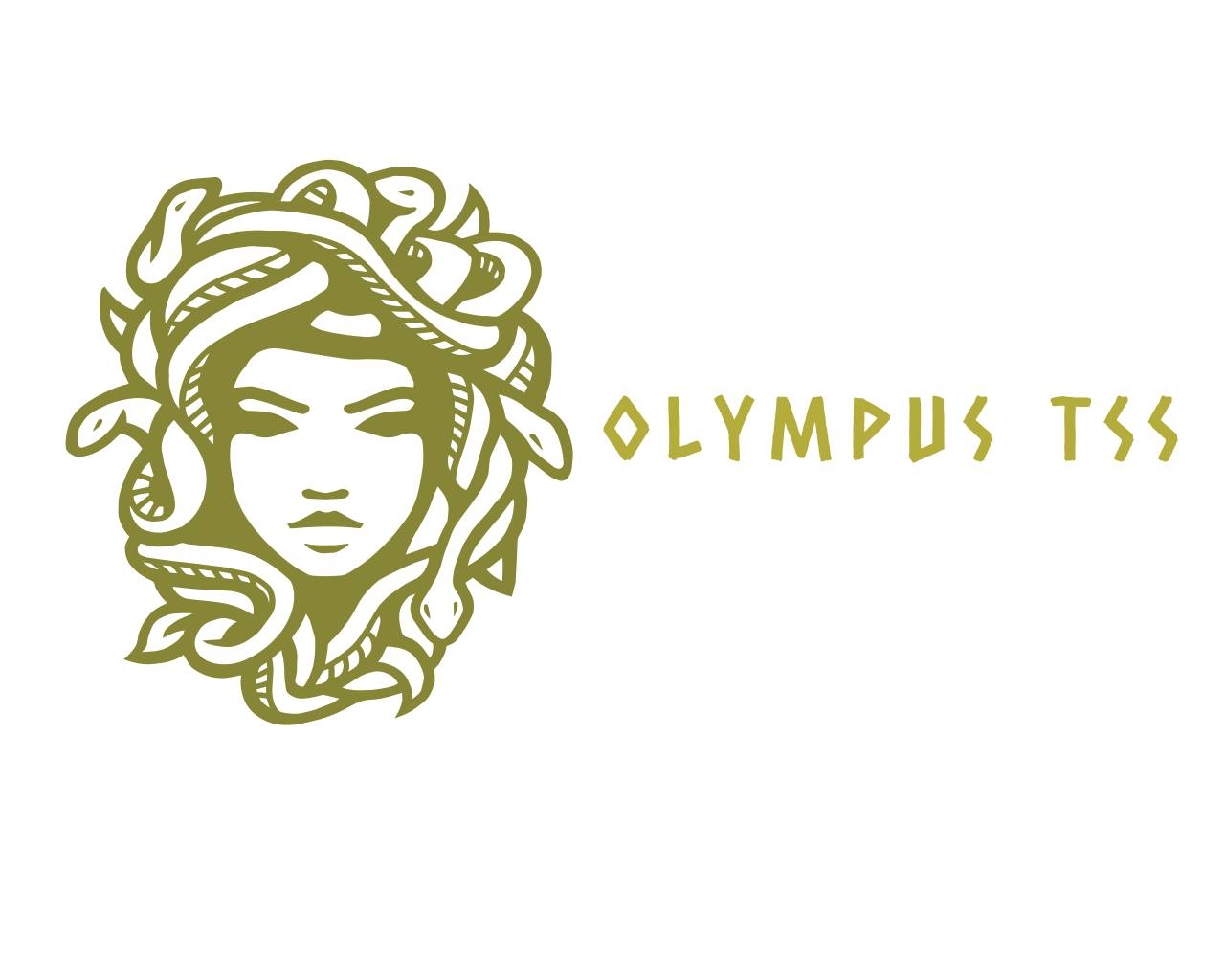 Olympus traffic survival school reviews