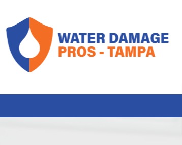 The Water Damage Pros Tampa FL reviews