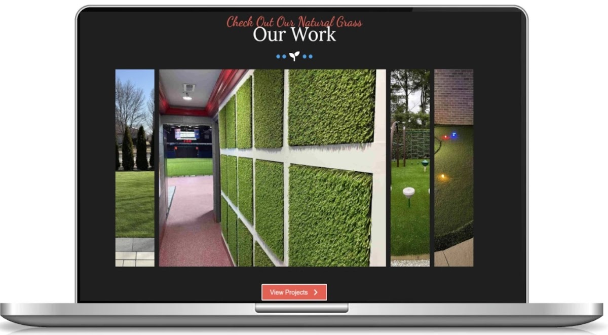 Affordable Web Design Chicago photo