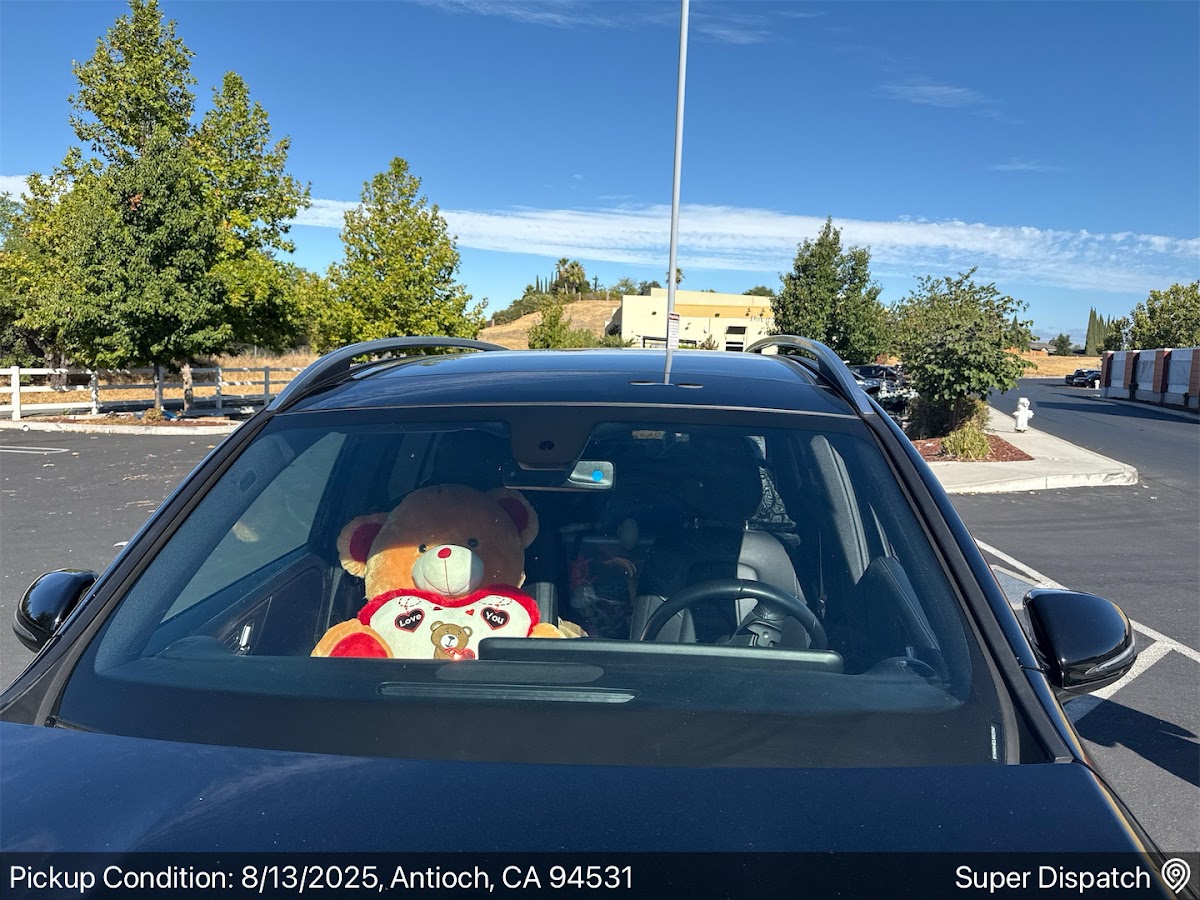 Nova Auto Transport photo