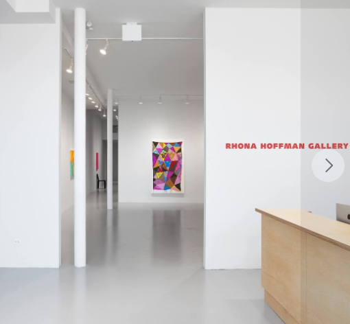 Rhona Hoffman Gallery reviews