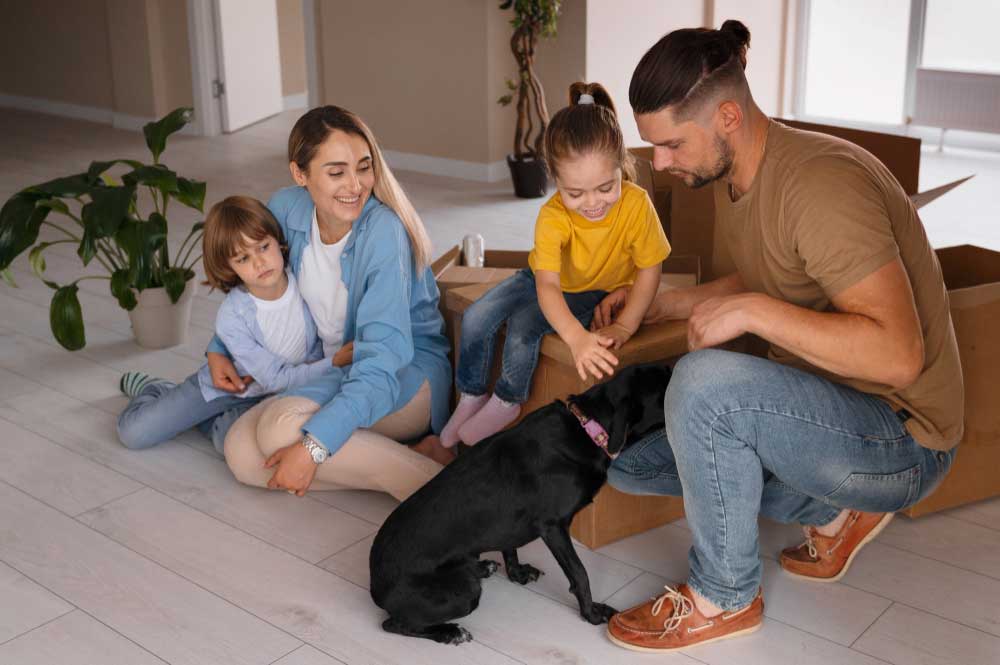 Easy Life Cleaning Services photo