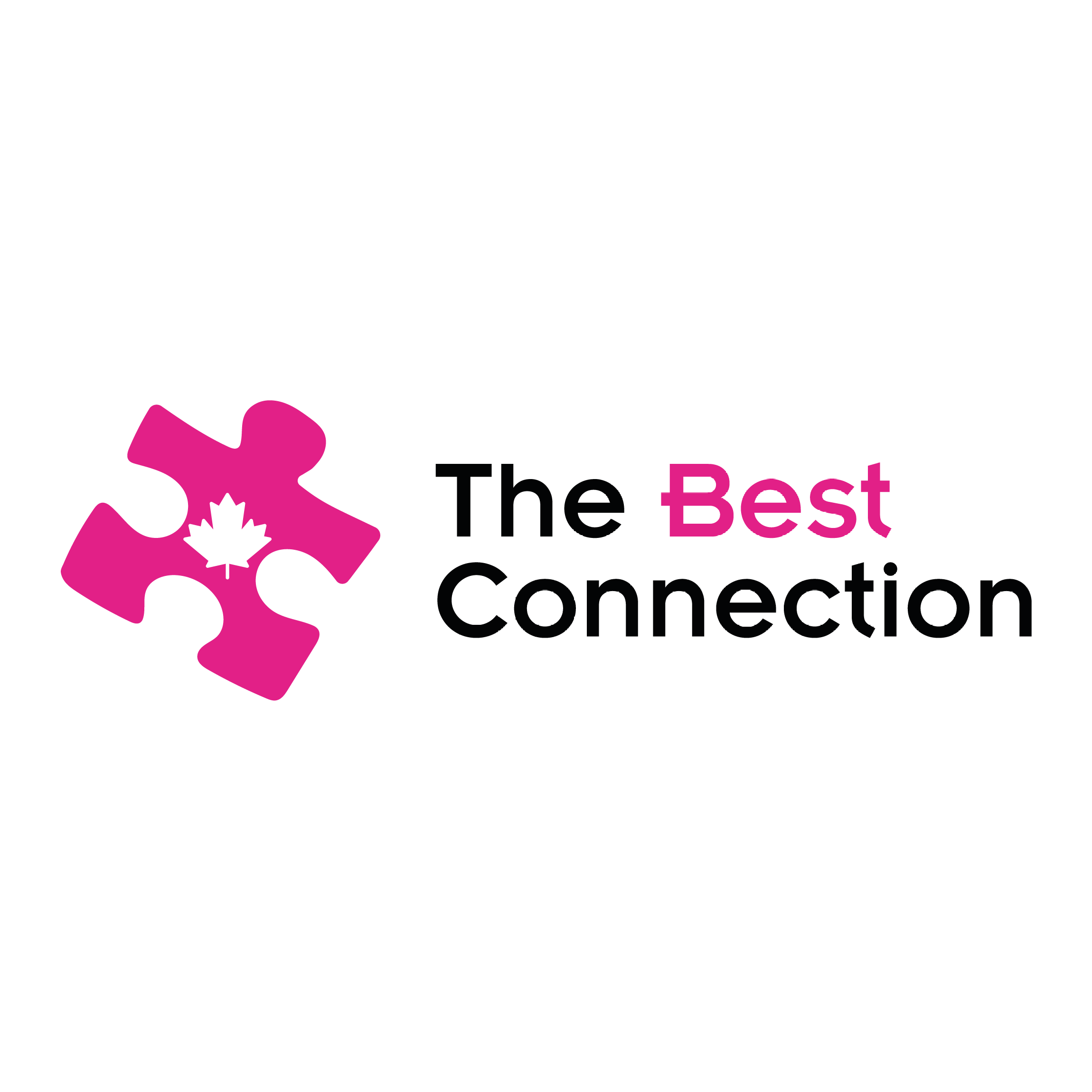 The Best Connection Inc. - Hamilton reviews