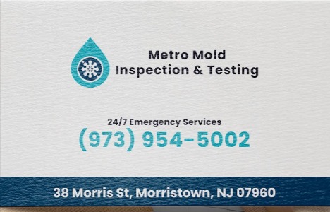 Metro Mold Inspection & Testing reviews