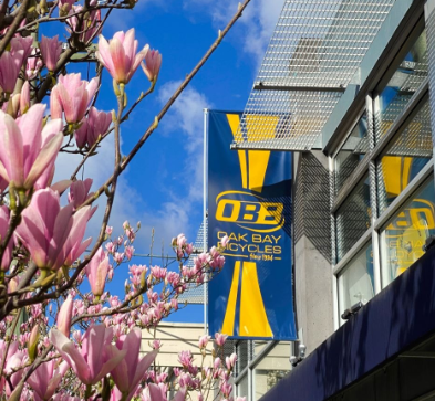 Oak Bay Bicycles reviews