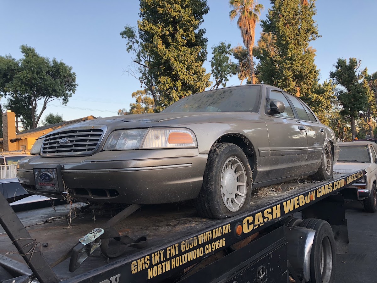 Cash Cash Cars photo