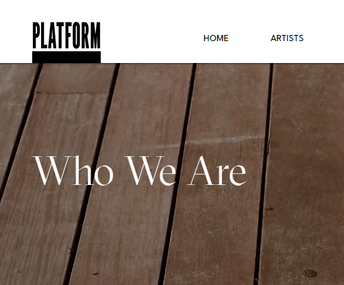 Platform Studios Chicago reviews