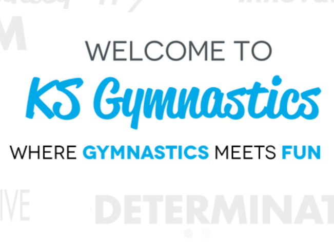 Kyle Shewfelt Gymnastics reviews