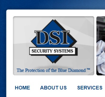 DSI Security Systems reviews