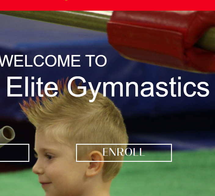 Houston Elite Gymnastics reviews