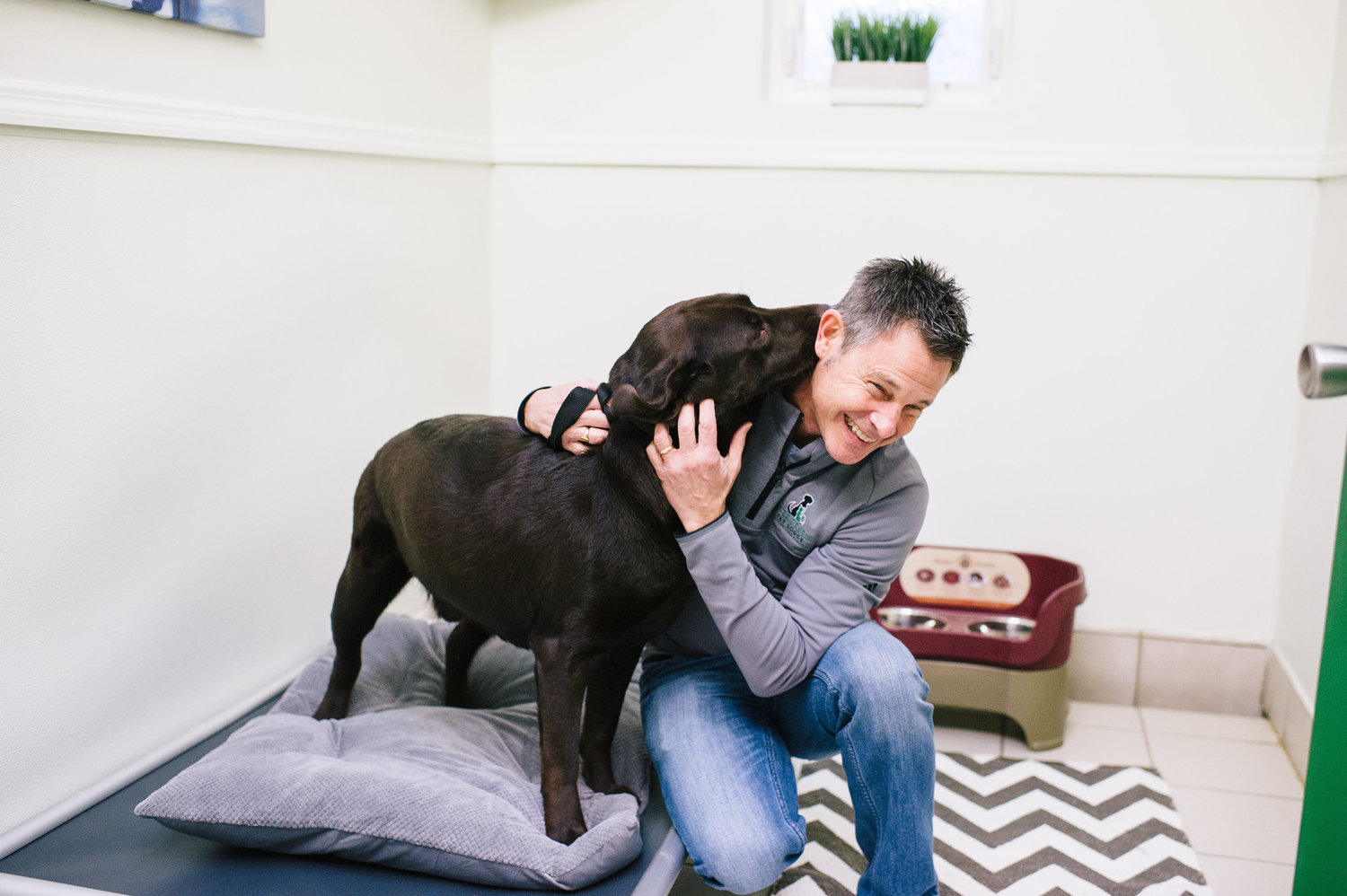 Wag-A-Tail Doggie Daycare reviews