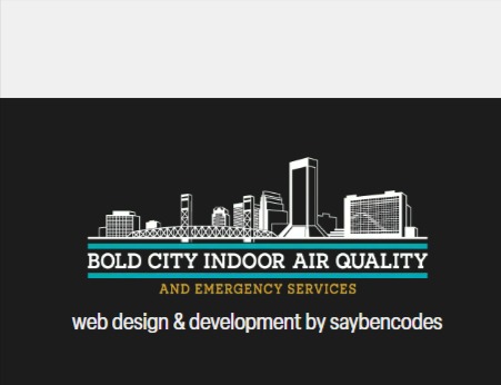 Bold City Indoor Air Quality and Emergency Services Jacksonville reviews