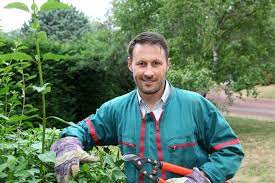 My Gardener Landscaping Ltd. reviews