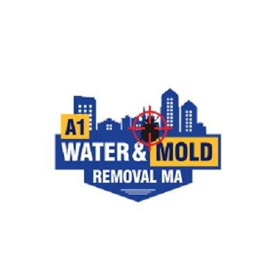 A1 Water & Mold Removal MA - Cambridge reviews