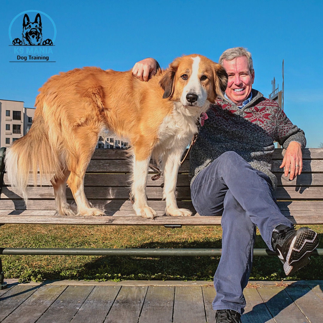 K9 Mania Dog Training