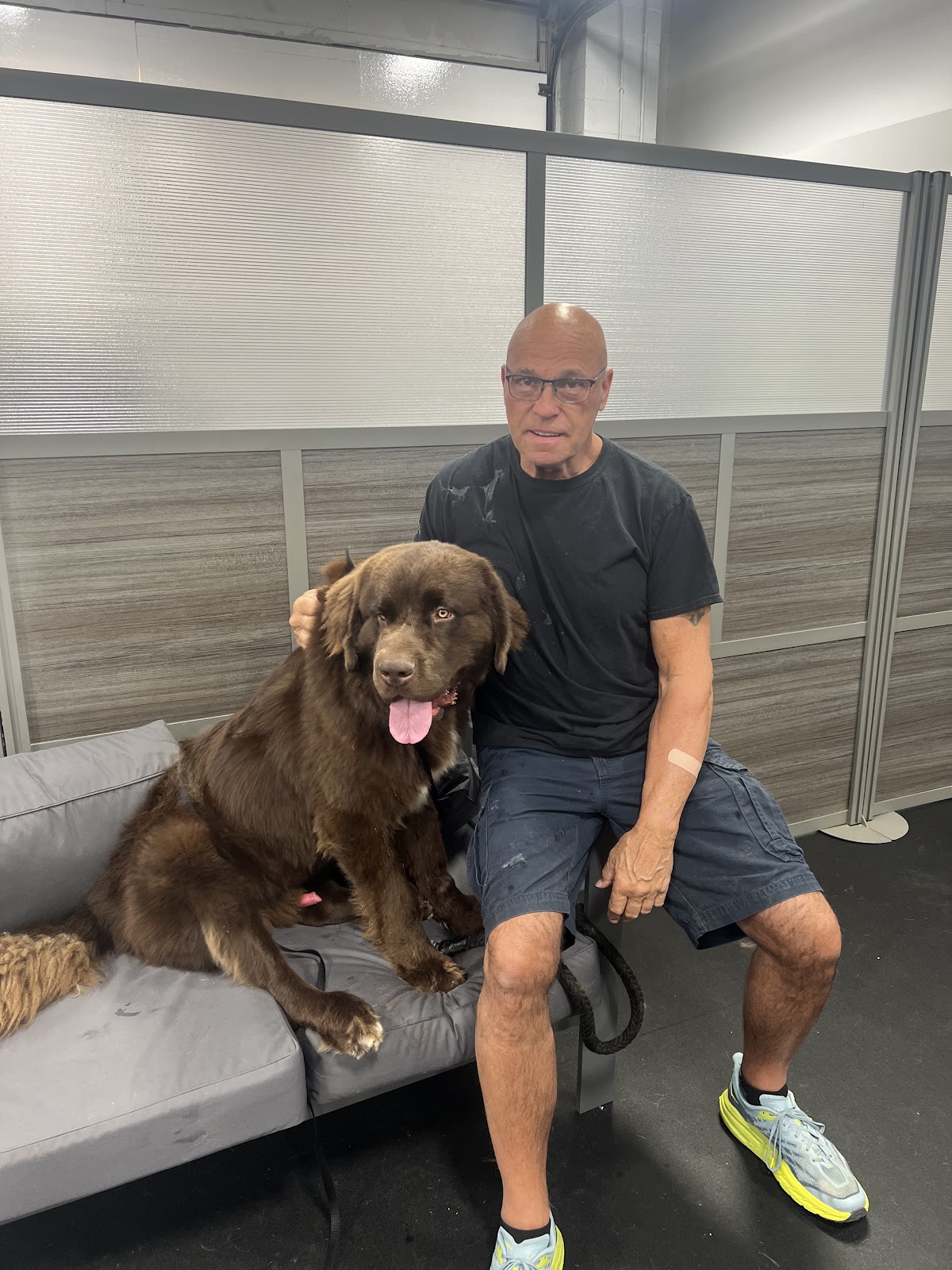 K9 Mania Dog Training