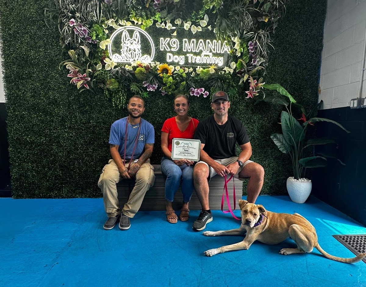 K9 Mania Dog Training
