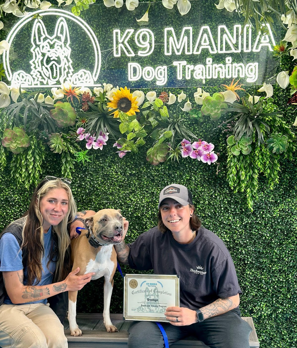 K9 Mania Dog Training