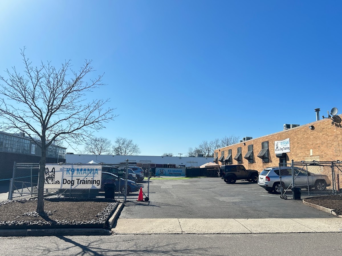 K9 Mania Dog Training