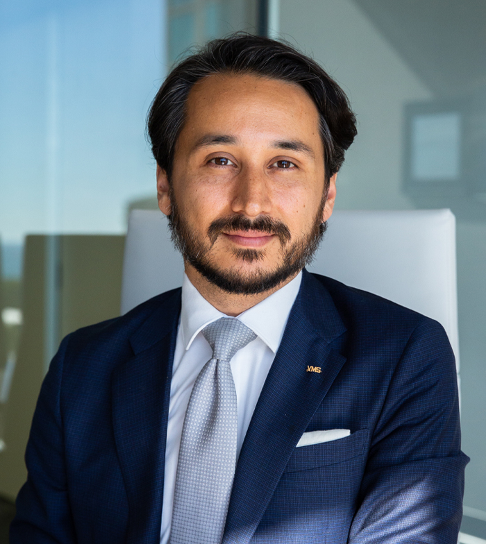 Mehta Law Group reviews