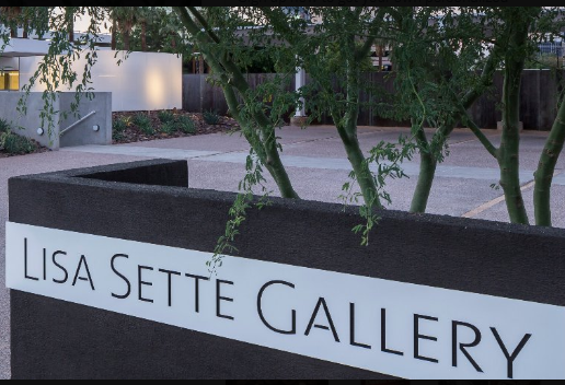 Lisa Sette Gallery reviews