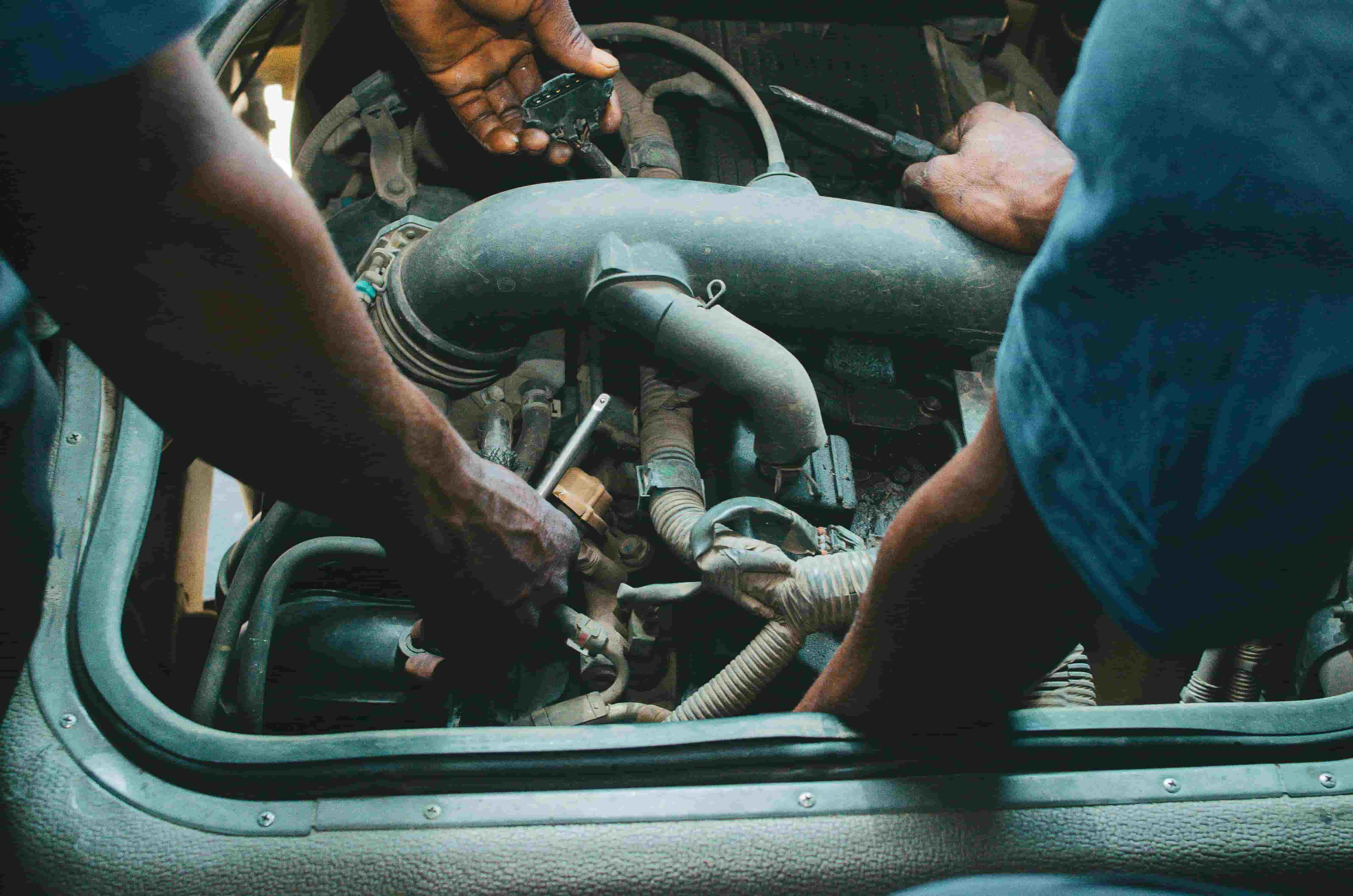 Croatian Electric reviews