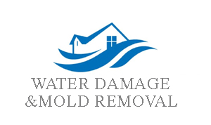 NYC Water Damage and Mold Removal reviews