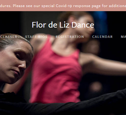 Flor de Liz Dance reviews